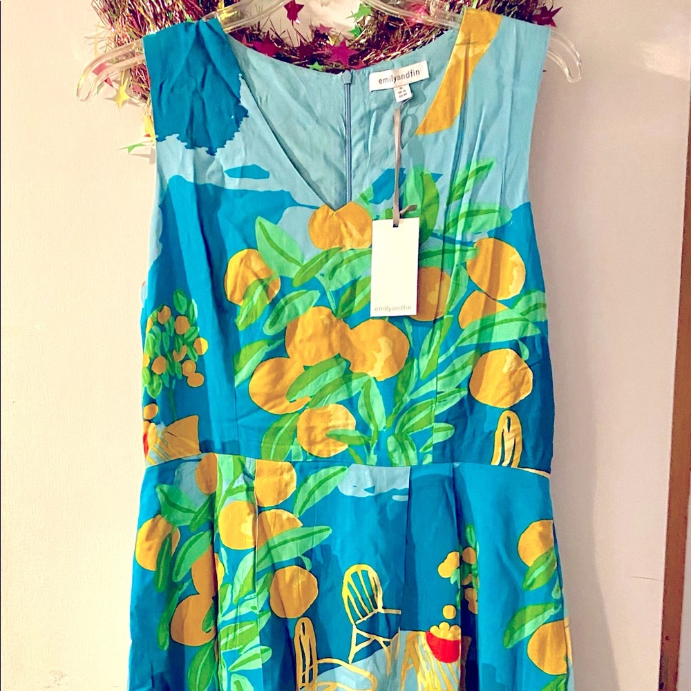 Emily & Fin Amelie dress UK/AU 16, Orangery print